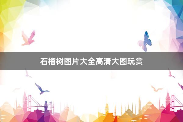 石榴树图片大全高清大图玩赏