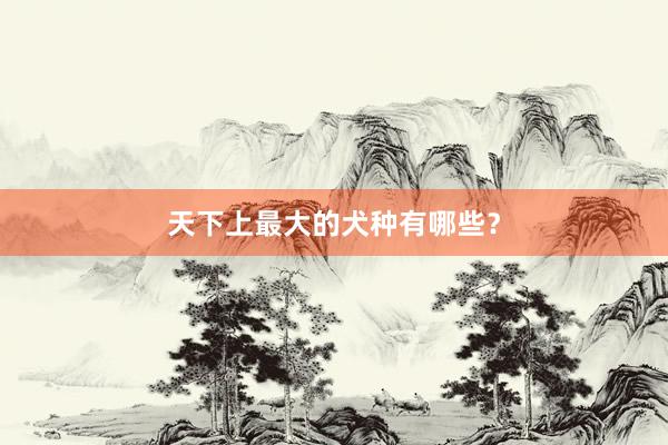 天下上最大的犬种有哪些?