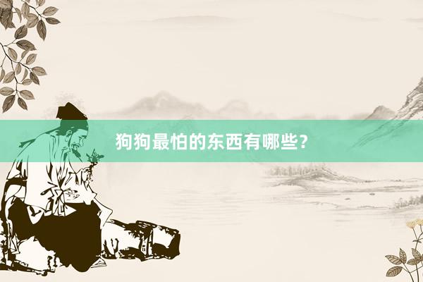 狗狗最怕的东西有哪些？