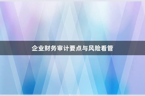 企业财务审计要点与风险看管